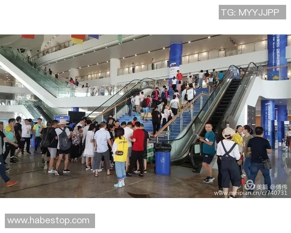 南京羽毛球队在邀请赛中的表现分析与状态评估