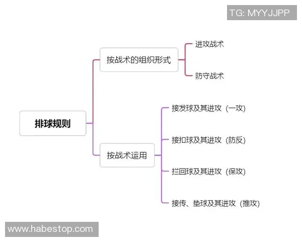 武汉排球队区域防守策略解析与深度剖析排球战术的奥秘